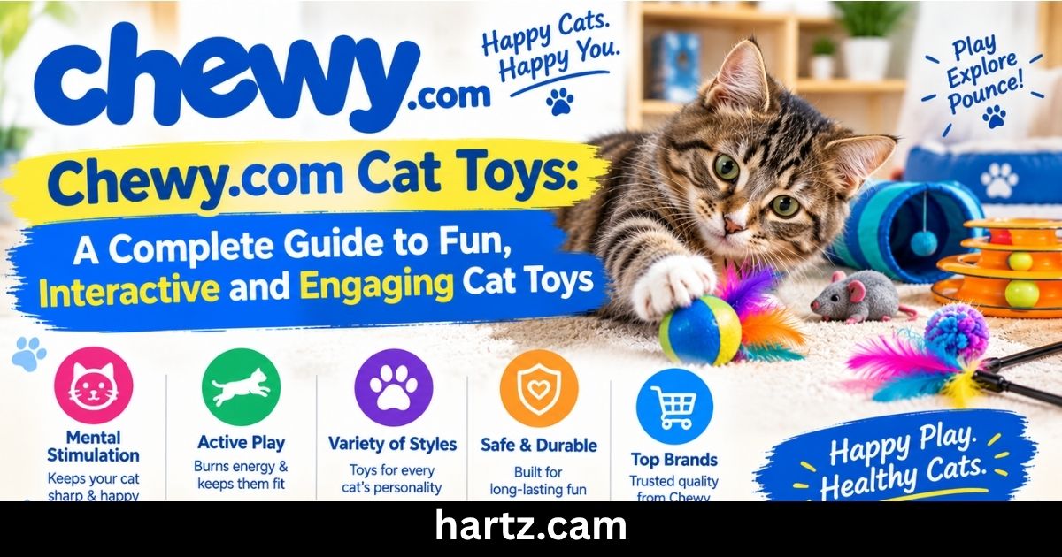 chewy.com cat toys