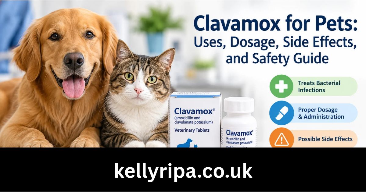 clavamox